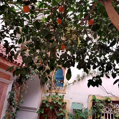 Riad Dalia-3